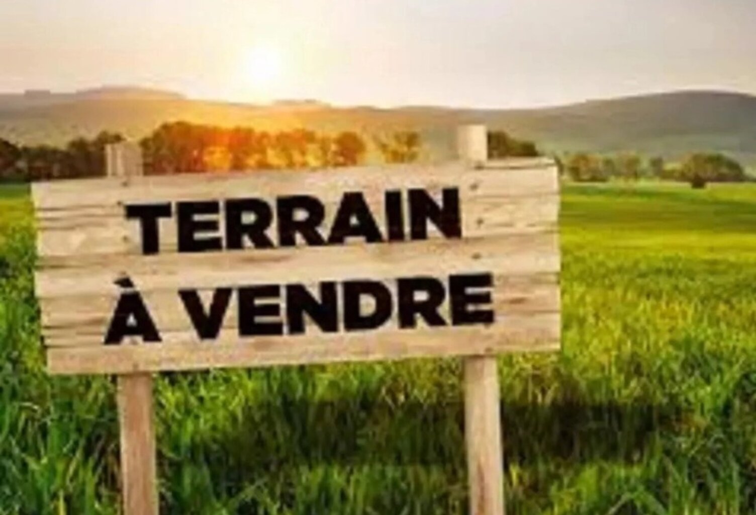 PROCHE PEYREHORADE ( Commune de Saint Cricq du Gave ) - TERRAINS BOISES - 3,9 ha — photo 1