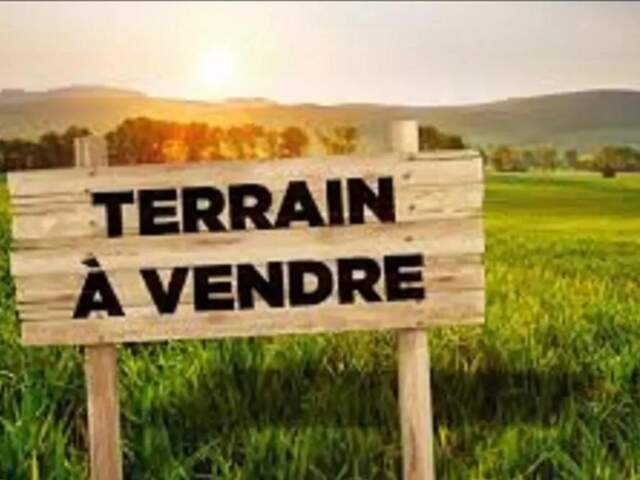 PROCHE PEYREHORADE ( Commune de Saint Cricq du Gave ) - TERRAINS BOISES - 3,9 ha — photo du bien