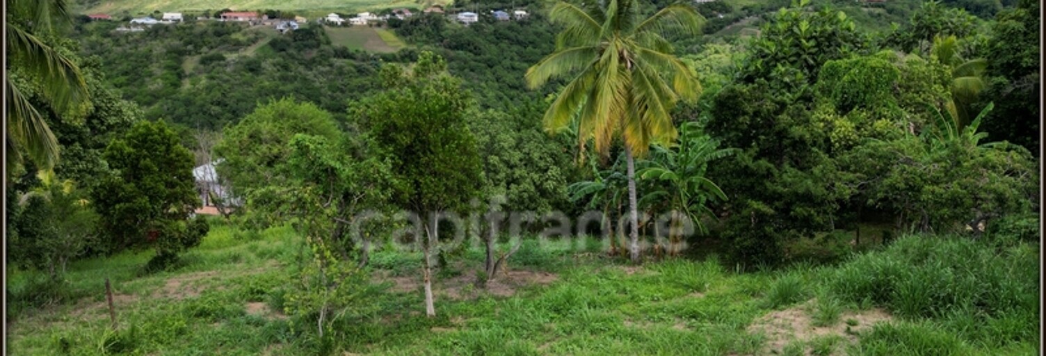 Terrain  1060 m² à vendre à Le Carbet (97221)