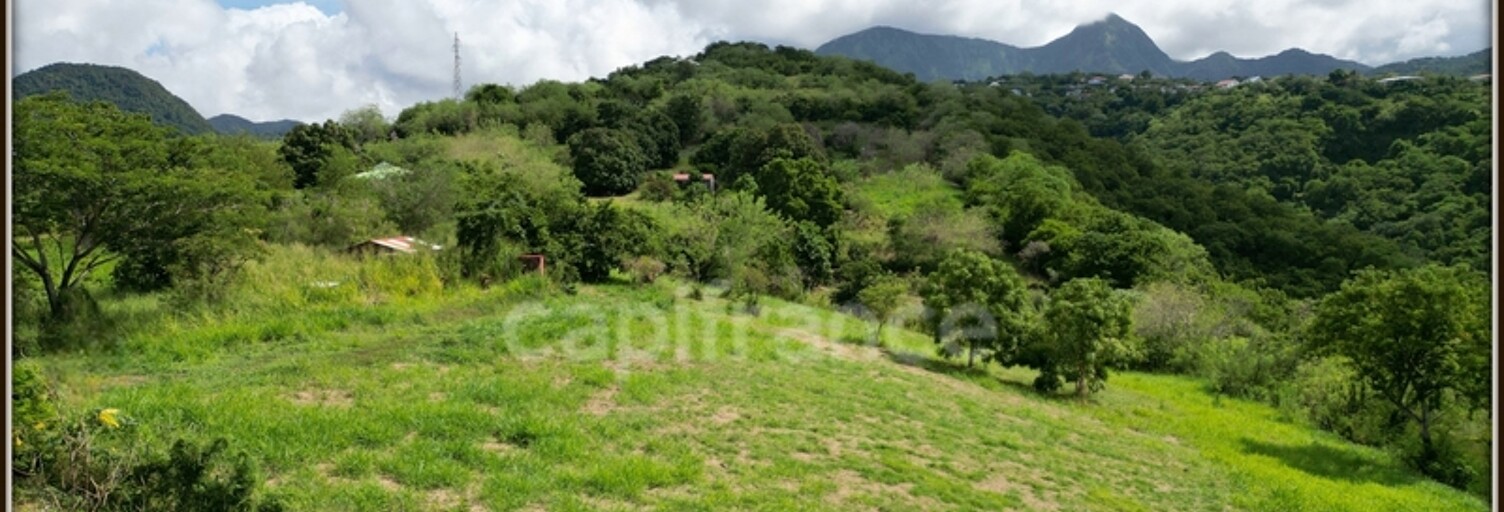 Terrain  1919 m² à vendre à Le Carbet (97221)