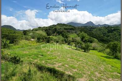 Terrain  246000 €