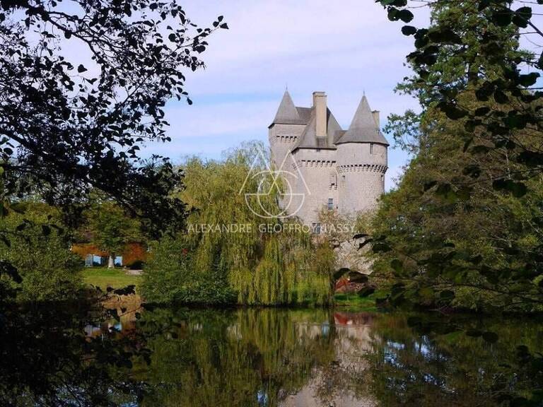 Splendide Château Médiéval Classé - Château se distingue par son élégance sur un domaine d’environ 13 hectares mêlant bois, prairies — photo 1