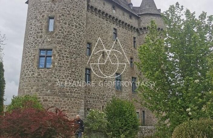 Splendide Château Médiéval Classé - Château se distingue par son élégance sur un domaine d’environ 13 hectares mêlant bois, prairies — photo 4