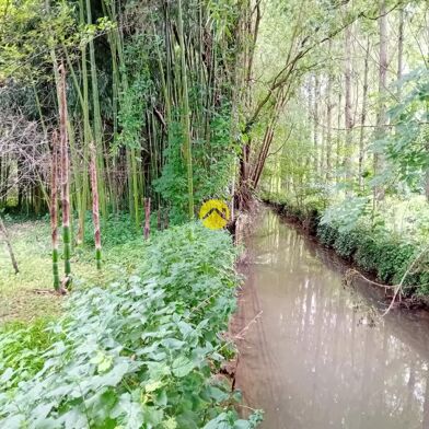 Maison 1 pièces 44500 €