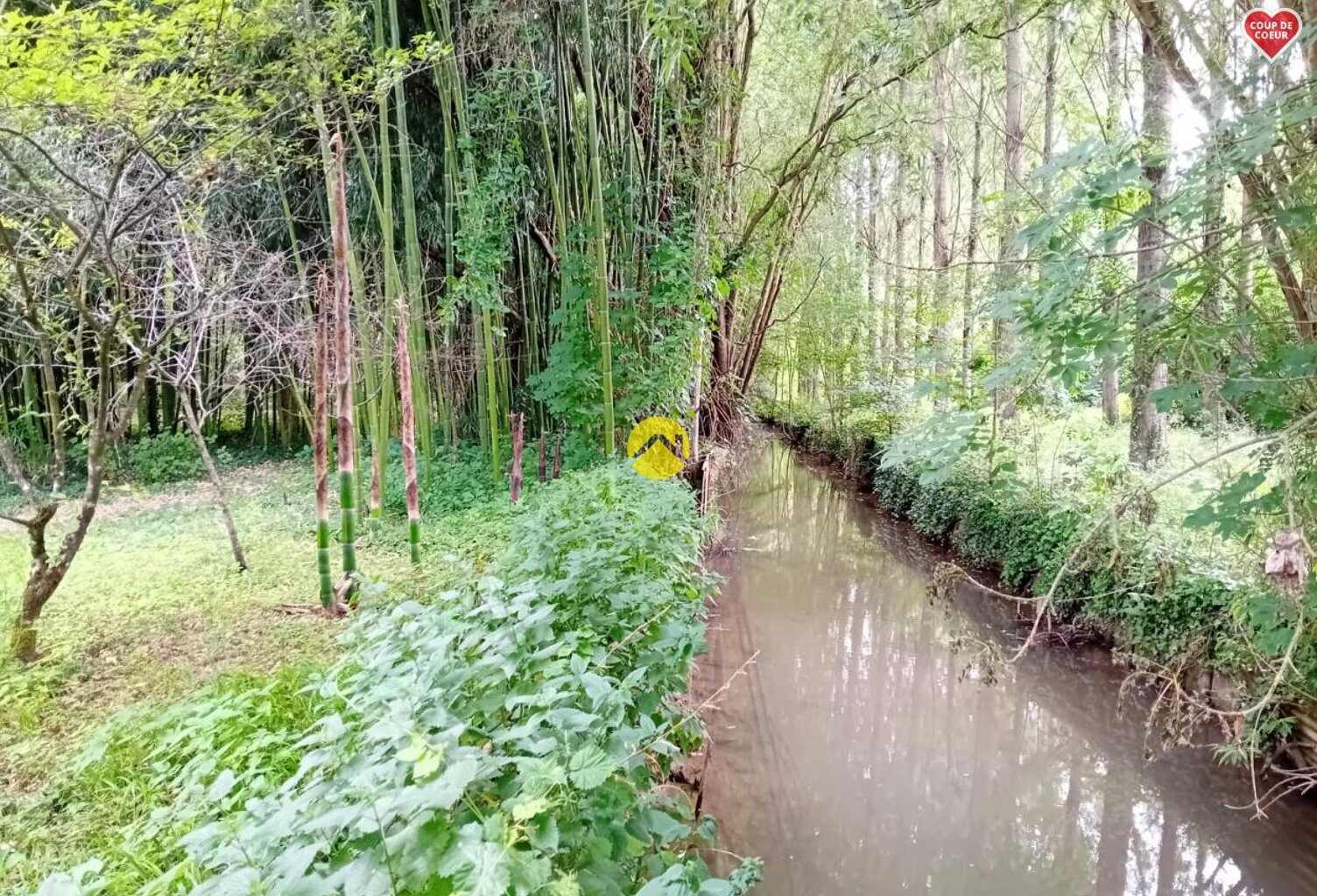 ET AU MILIEU COULE LA RIVIÈRE  — photo 1