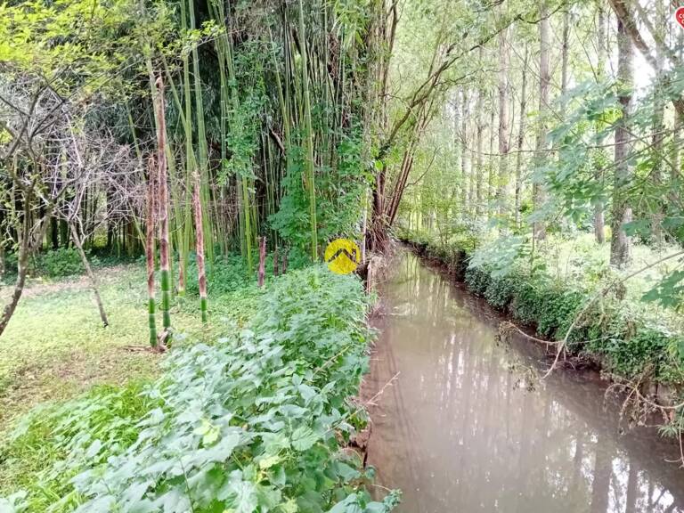 ET AU MILIEU COULE LA RIVIÈRE  — photo 1