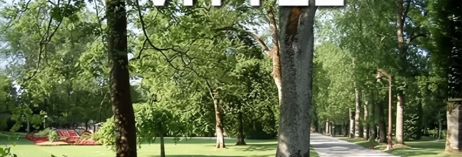 Immeuble  100 m² à vendre à Vittel (88800)