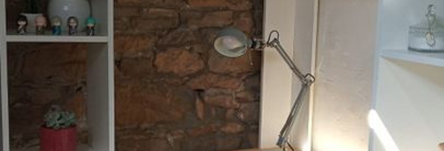 Appartement 1 Pièce 26 m² à louer à Lyon 7 (69007)