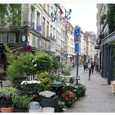 Appartement 2 pièces 990 €