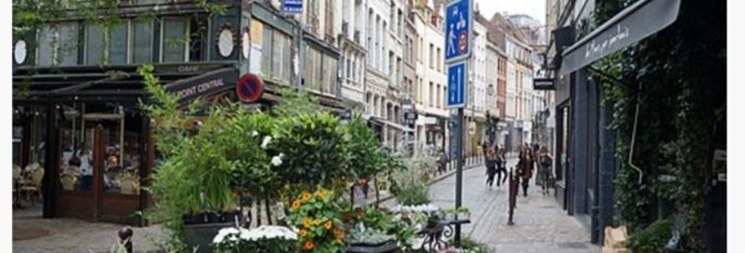 Appartement 2 Pièces 33 m² à louer à Lille (59000)