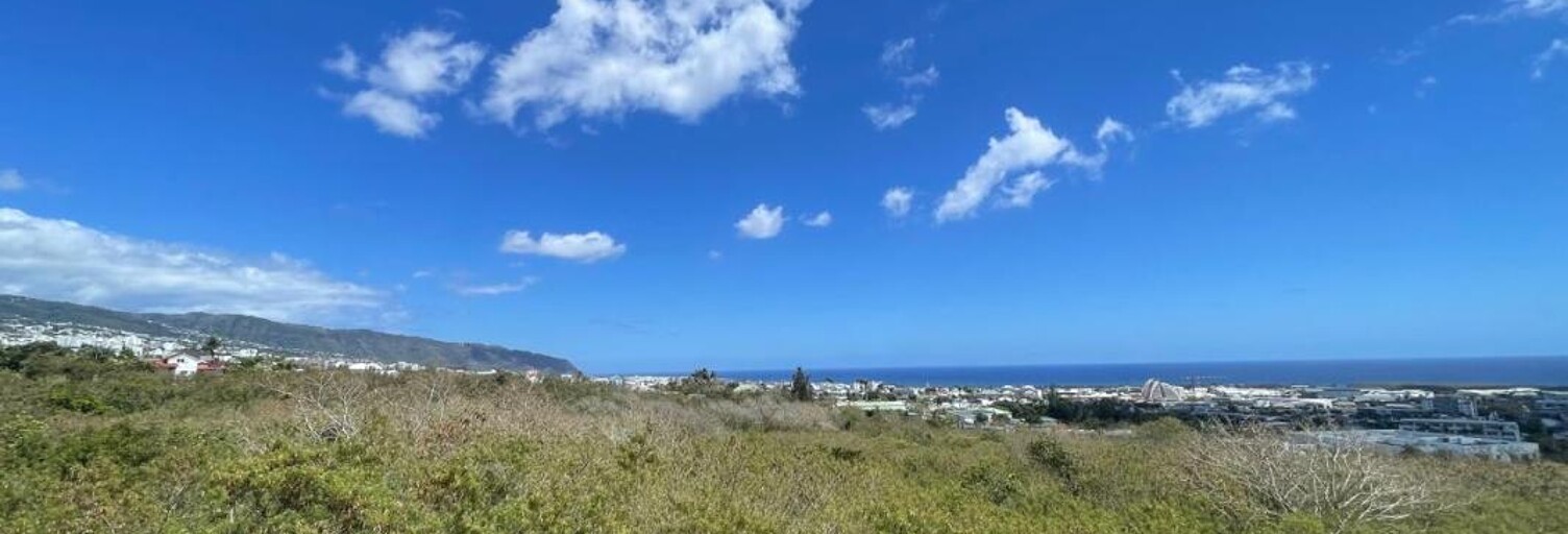 Appartement 2 Pièces 46 m² à vendre à Saint-Denis (97490)