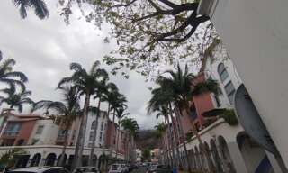 Commerce  12 m² à louer à Saint-Leu (97436)