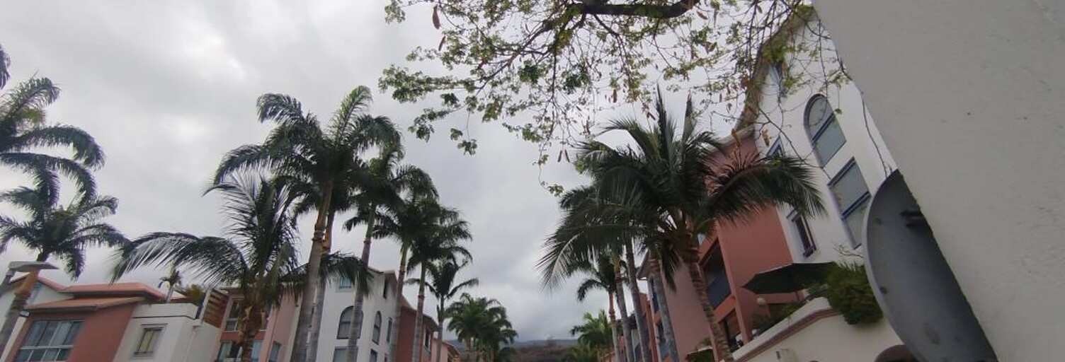 Commerce  12 m² à louer à Saint-Leu (97436)