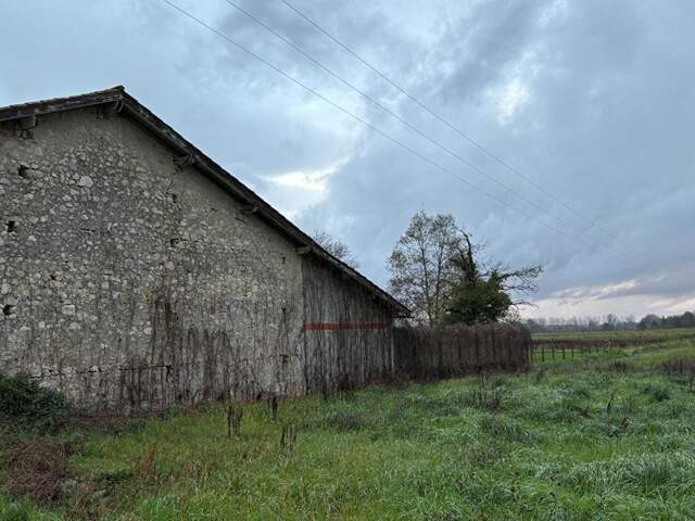 Ancienne ferme girondine à fort potentiel, Pessac sur Dordogne 185 m2 dépendances 300 m2 — photo du bien