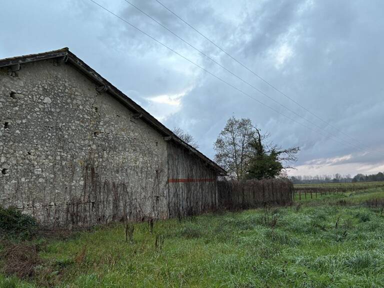 Ancienne ferme girondine à fort potentiel, Pessac sur Dordogne 185 m2 dépendances 300 m2 — photo 1