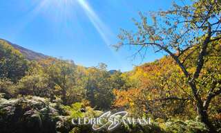 Terrain  1729 m² à vendre à Castans (11160)