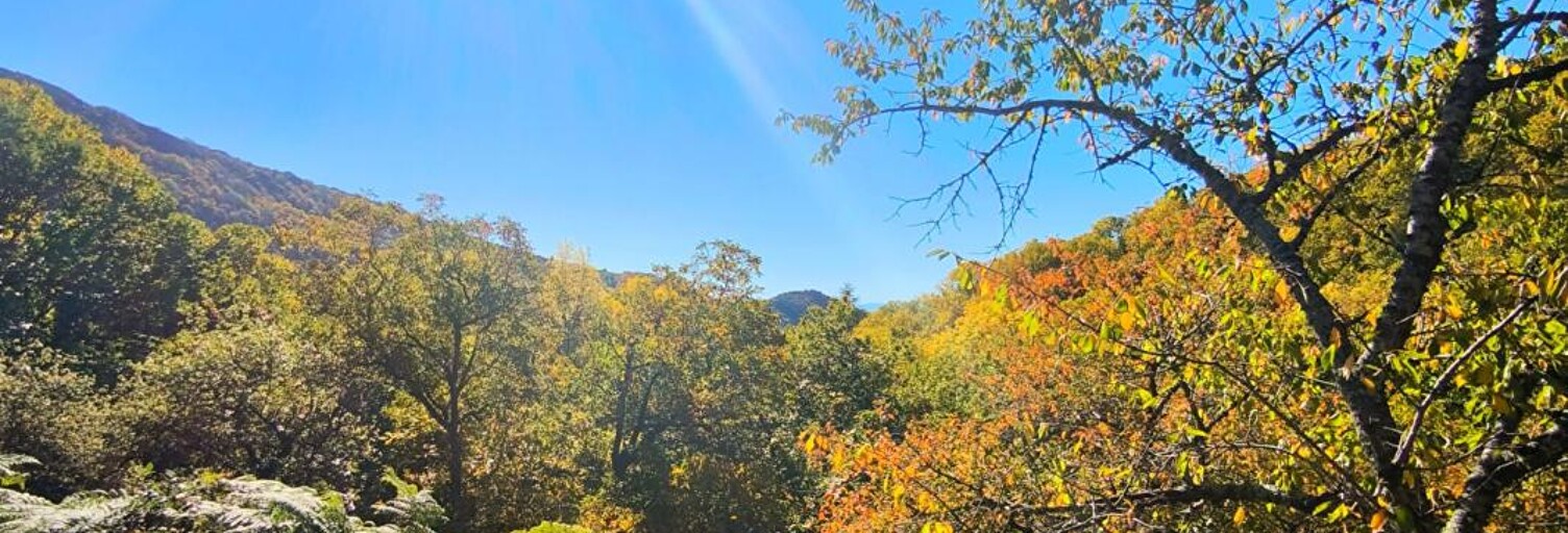 Terrain  1729 m² à vendre à Castans (11160)