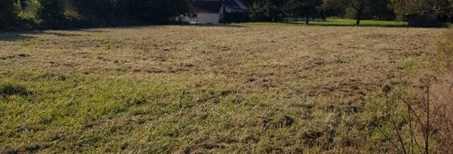 Terrain  1313 m² à vendre à La Cour-Marigny (45260)