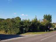 Terrain La Cour Marigny 1 313  m2 — photo 2