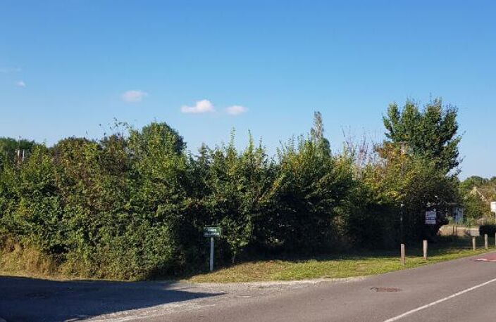 Terrain La Cour Marigny 1 313  m2 — photo 2