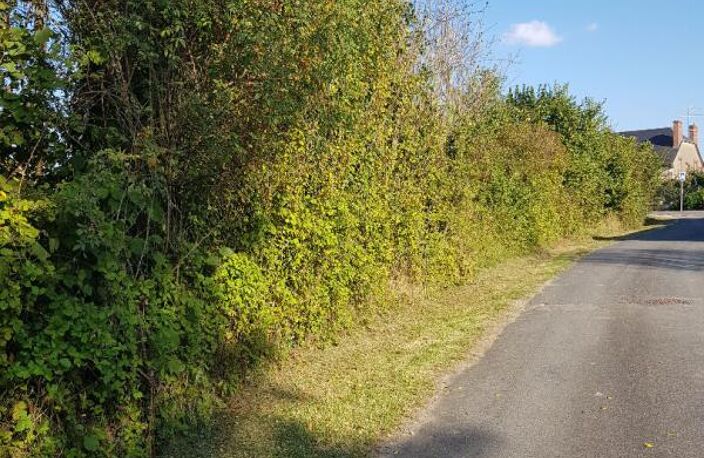 Terrain La Cour Marigny 1 313  m2 — photo 3