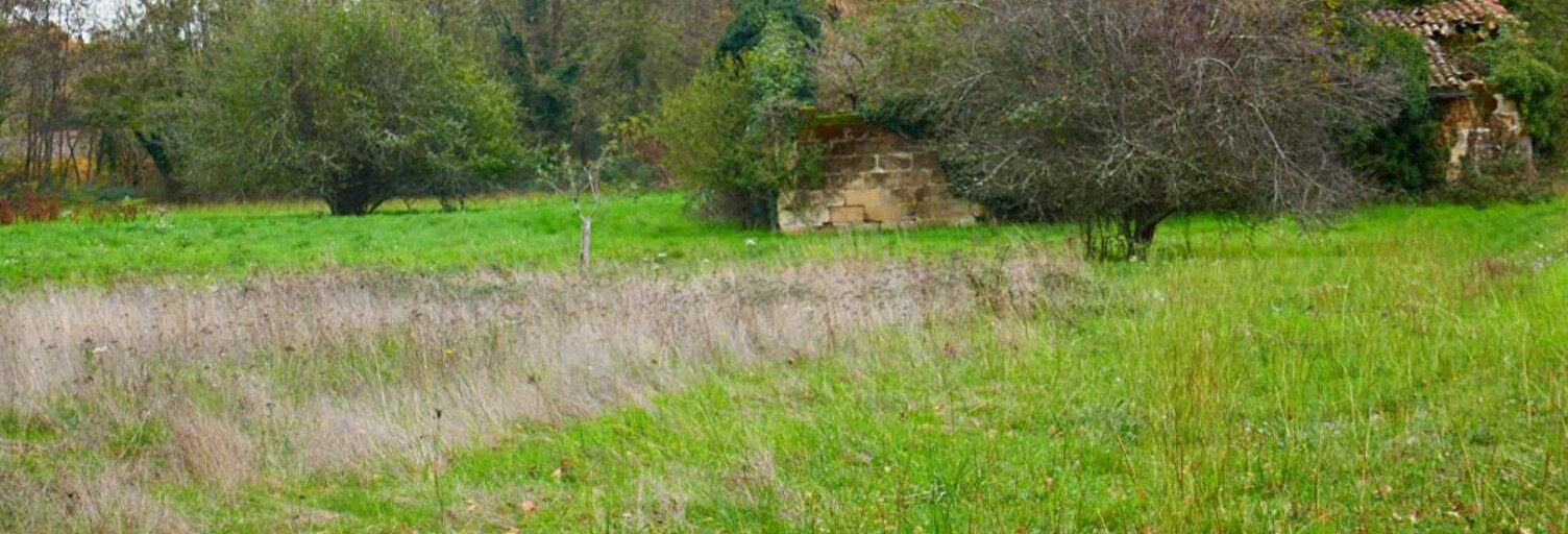 Terrain  2538 m² à vendre à Léognan (33850)