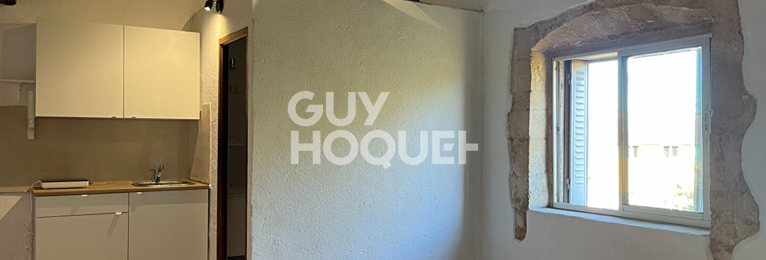 Appartement 1 Pièce 23 m² à louer à L'Isle-sur-la-Sorgue (84800)