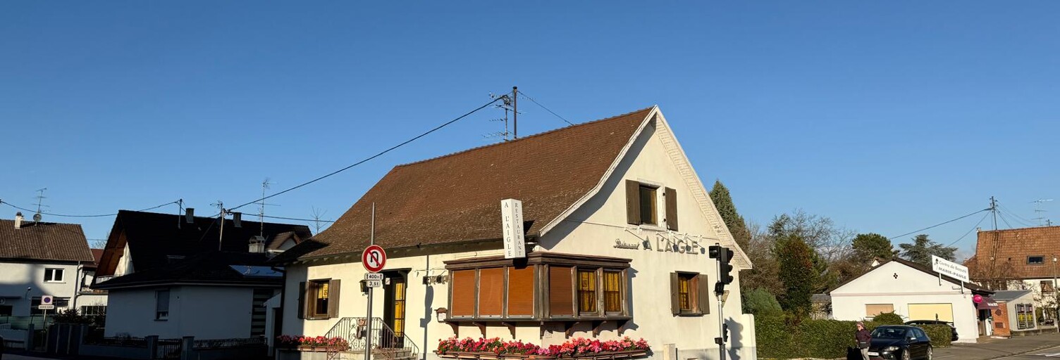 Immeuble  140 m² à vendre à Village-Neuf (68128)