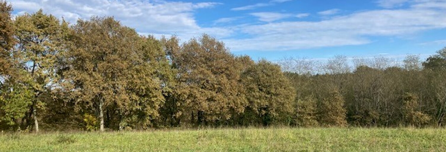 Maison 111 m² à construire Horsarrieu (40700)