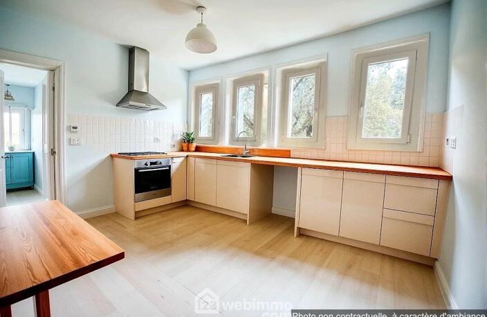 Maison - 181m² - Moltifao — photo 2