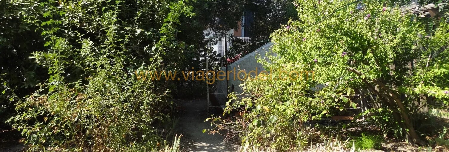 Maison 130 m² en viager Montpellier (34070)