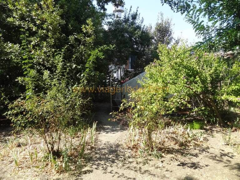SOUS COMPROMIS - Réf. 10 056 - VIAGER OCCUPE - MONTPELLIER (34) — photo 1