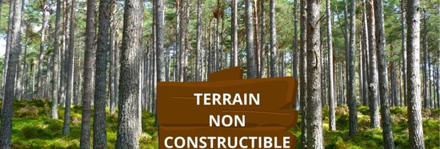 Terrain  6810 m² à vendre à Saint-Christoly-de-Blaye (33920)