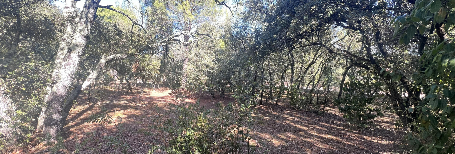 Terrain  1300 m² à vendre à Boisseron (34160)