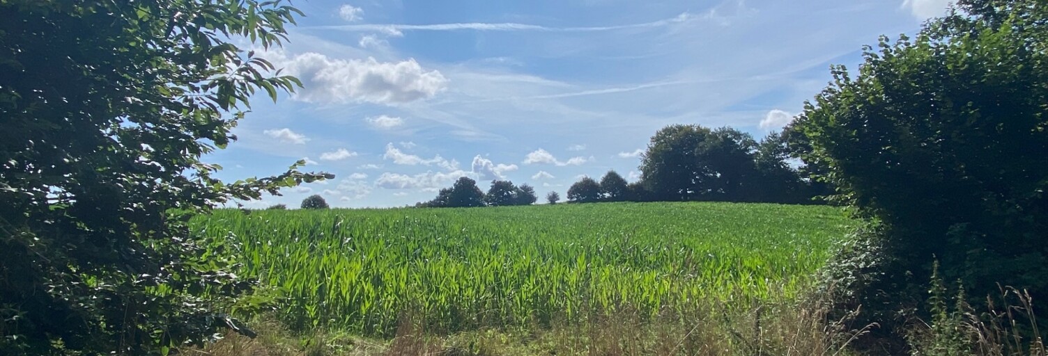 Terrain  40080 m² à vendre à Guiscriff (56560)