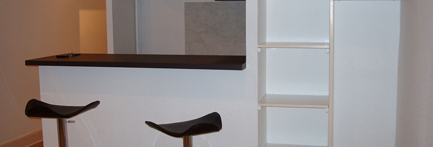 Appartement 1 Pièce 26 m² à louer à Pau (64000)