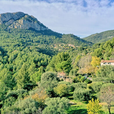 Maison 7 pièces 990000 €