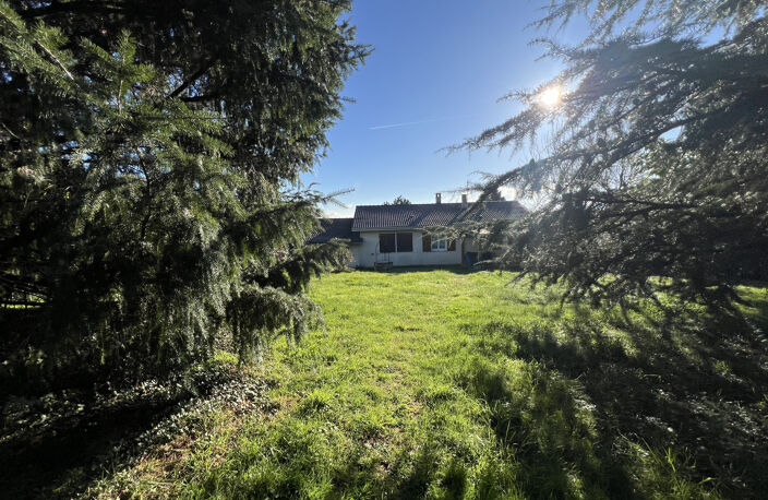 Maison T4 plain pied avec jardin — photo 5