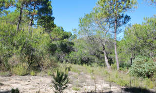 Terrain  1041 m² à vendre à Salernes (83690)