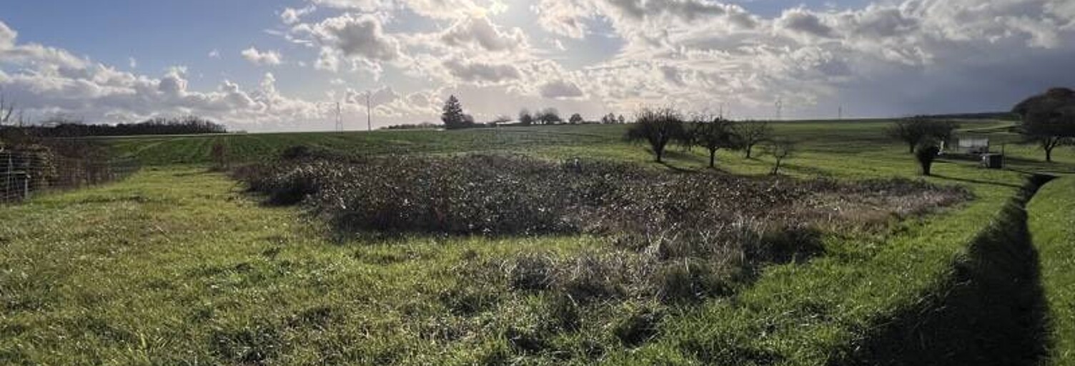 Terrain  1285 m² à vendre à Bléré (37150)