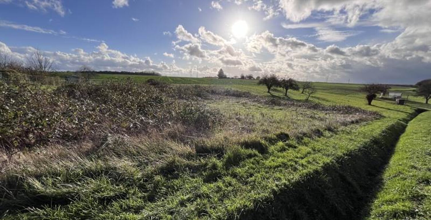 Terrain à bâtir de 0 pièces principales — photo 1