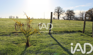 Maison 4 Pièces 78 m² à vendre à Blandouet-Saint Jean (53270)