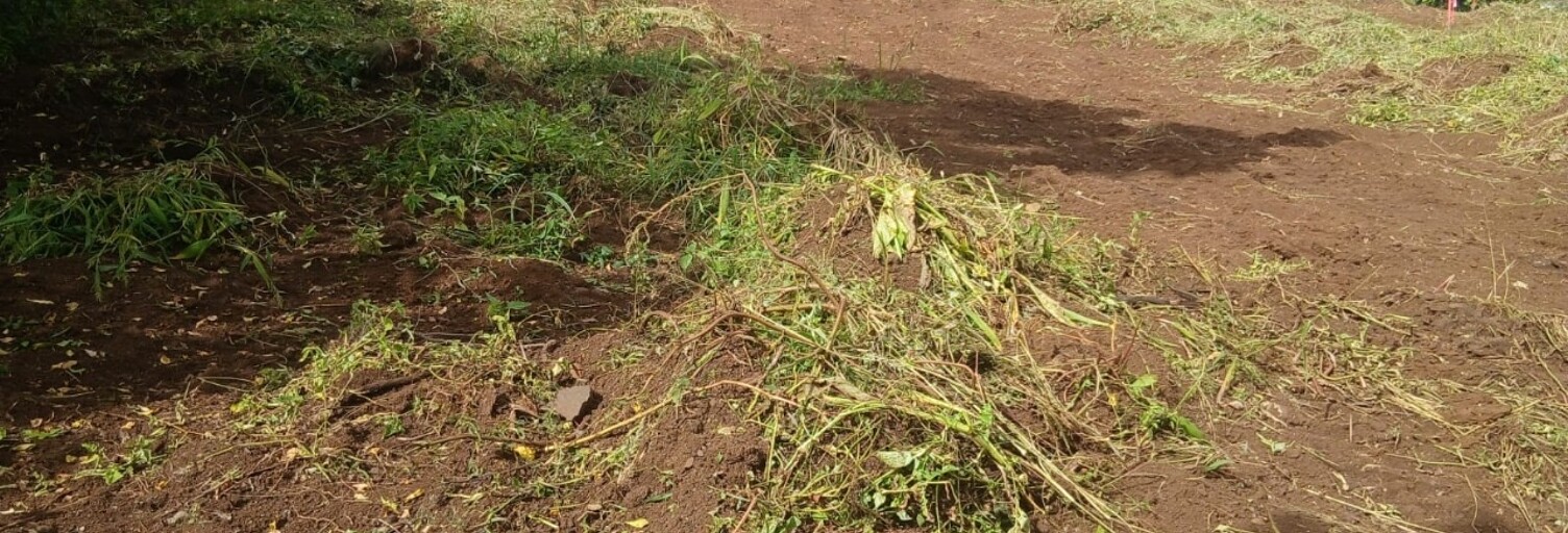 Terrain  400 m² à vendre à Saint-Paul (97423)