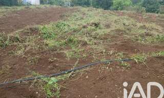 Terrain  451 m² à vendre à Saint-Paul (97460)