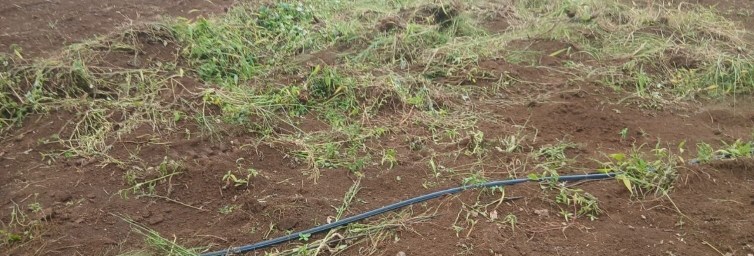 Terrain  451 m² à vendre à Saint-Paul (97460)