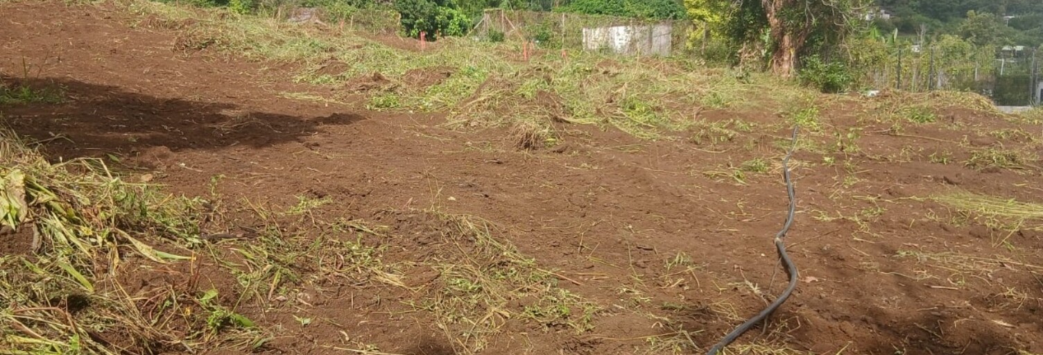 Terrain  370 m² à vendre à Saint-Paul (97460)