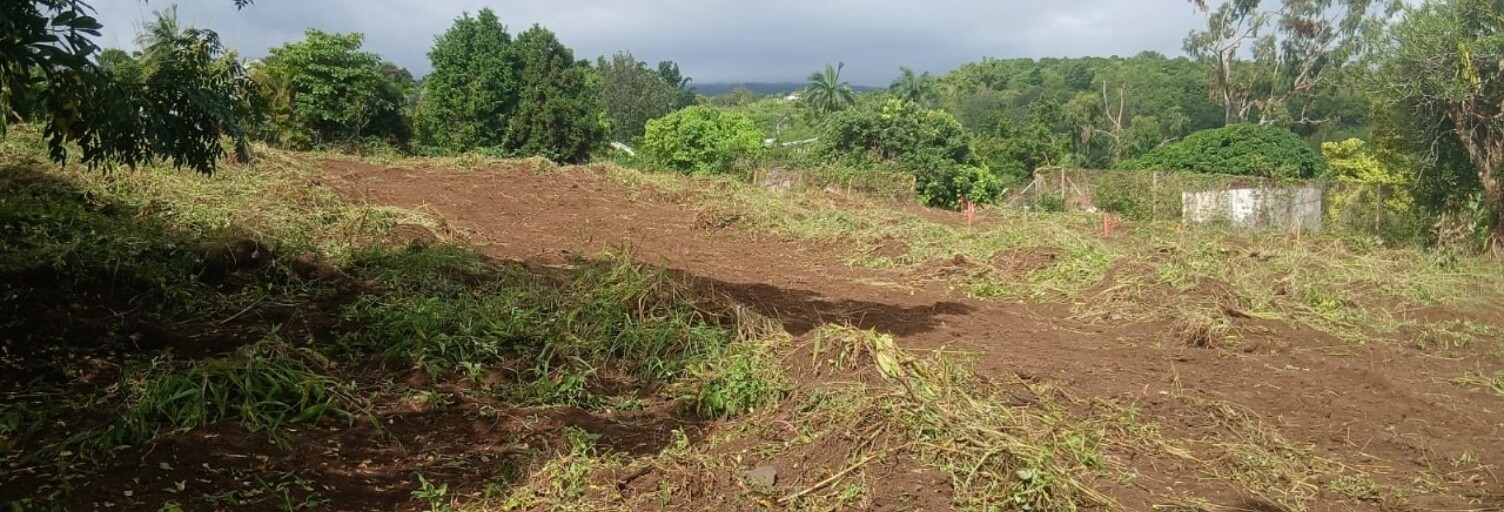 Terrain  440 m² à vendre à Saint-Paul (97460)