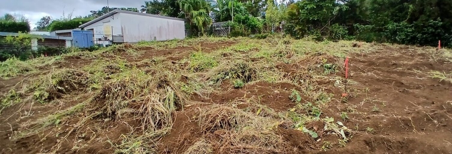 Terrain  337 m² à vendre à Saint-Paul (97460)