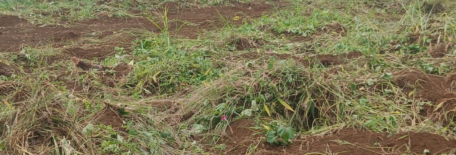 Terrain  344 m² à vendre à Saint-Paul (97460)