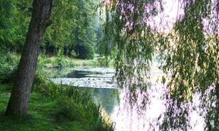 Maison 7 Pièces 180 m² à vendre à Ville-d'Avray (92410)